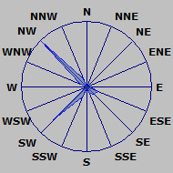 Wind Rose